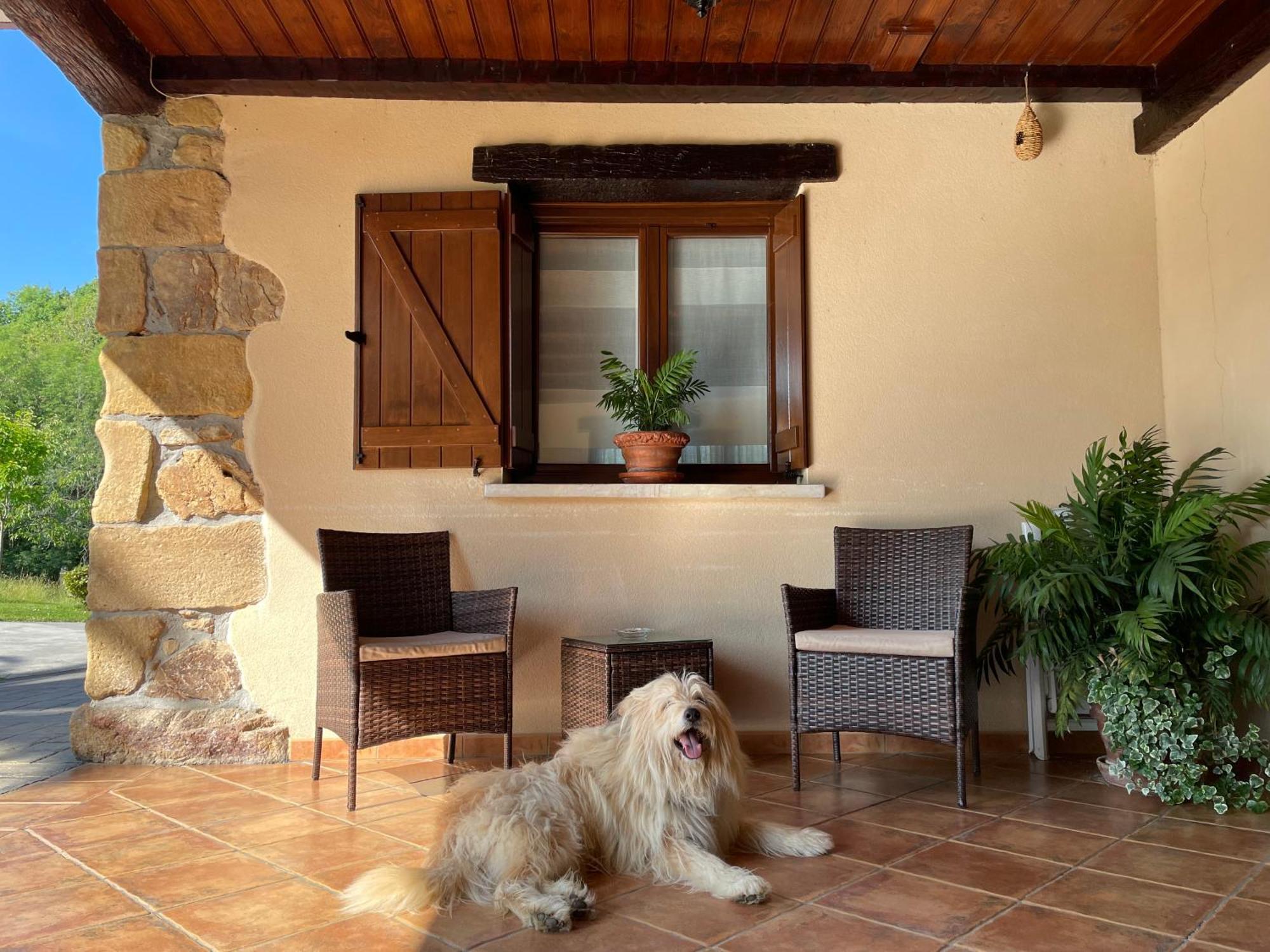 Agroturismo Erretegi Haundi Oiartzun Bagian luar foto